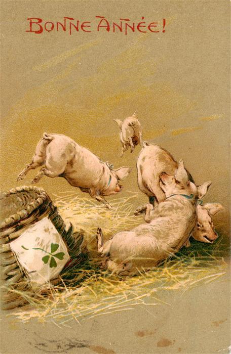 Schweine Bonne Annee