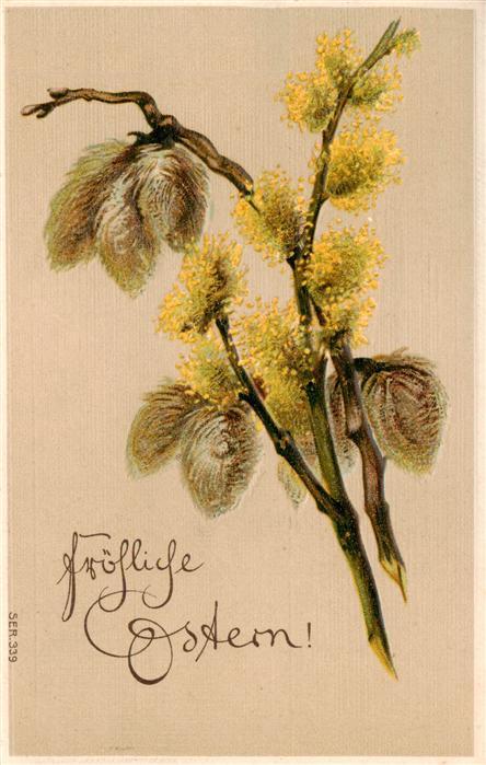 Ostern Easter Paques Pasqua Maikaetchen