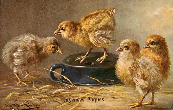 Ostern Easter Paques Pasqua Joyeuses Paques Kuecken