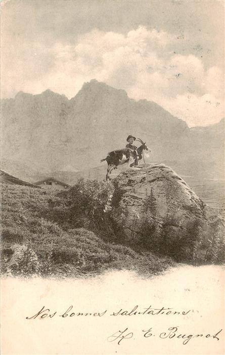 Gemse Chamois Gamuza Kind Bergziege