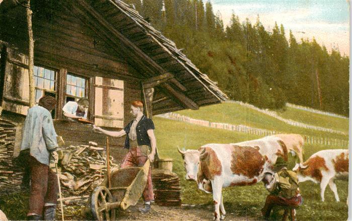 Landwirtschaft Kuehe Landarbeit