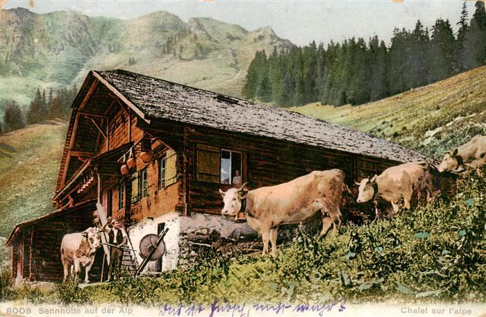 Landwirtschaft Kuehe Chalet sur lalpe