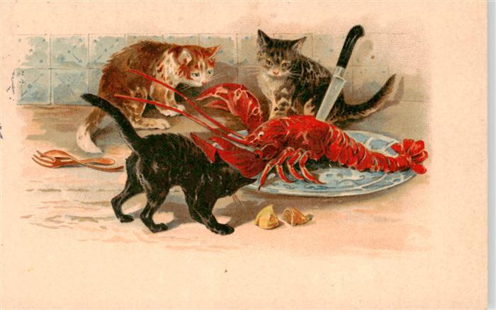 Katzen Hummer Messer