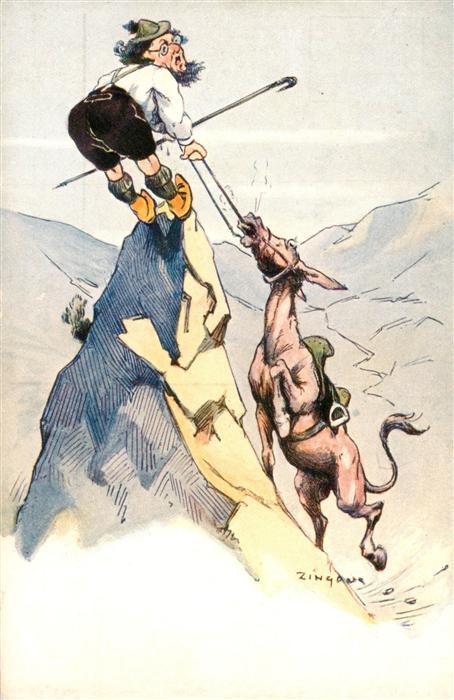 PFERDE Horses Cheval Bergsteiger