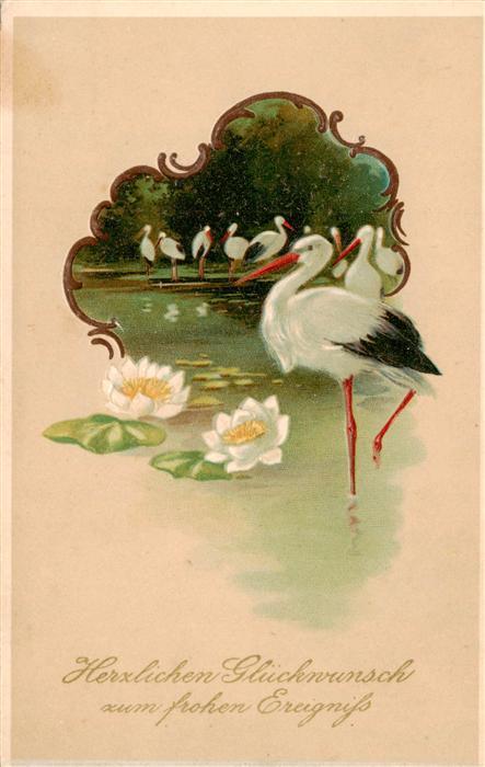 Storch Stork Cigogne Ciguena Glueckwunsch