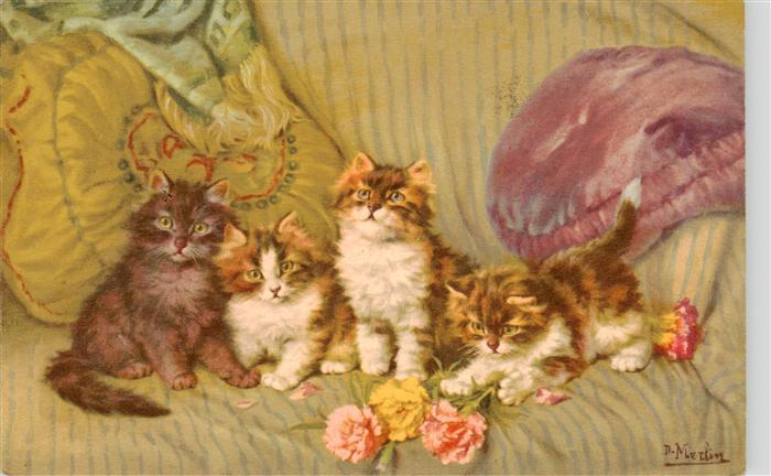 Katzen Blumen