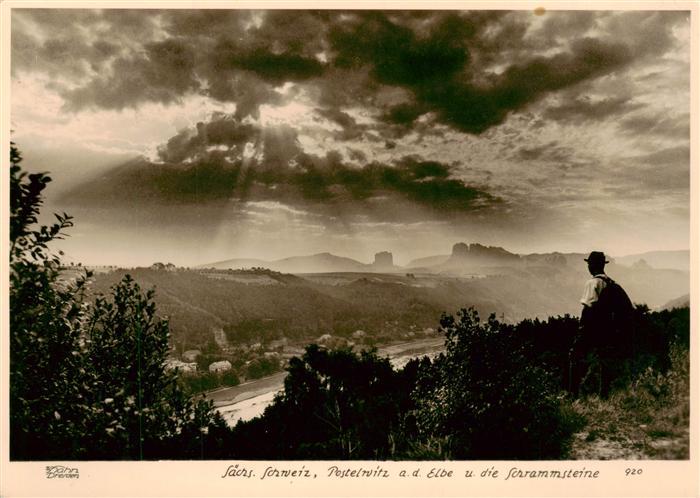 Foto Hahn Nr. 920 Sächs. Schweiz Postelwitz Elbe Schr
