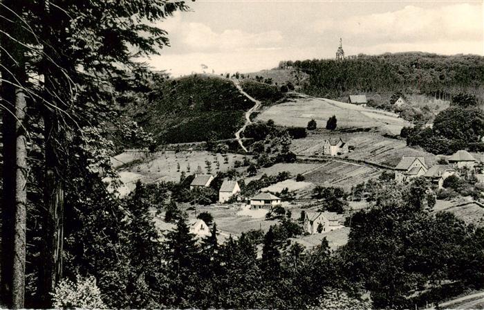 Berlebeck Detmold Lippe NRW Panorama Blick zum Hermannsdenkmal