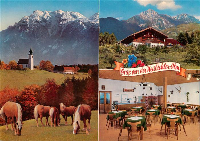 Neubichler Alm Piding Kirche Pferde Neubichler Alm Gastraum