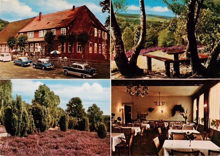 Egestorf Nordheide Gasthof zu den 8 Linden Garten Gastraum Heidepartie
