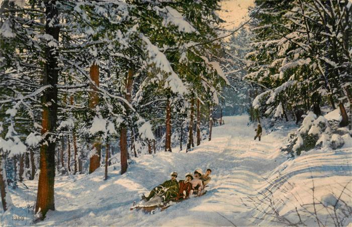 Bob Bobsport Bobsleigh Traineaux Schlitten Wald Maenner