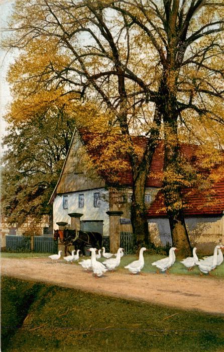 Verlag Photochromie Nr. 8217 Serie 186 Landwirtschaft Pferde Gaense