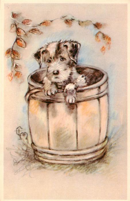 Hunde dogs chiens Fass