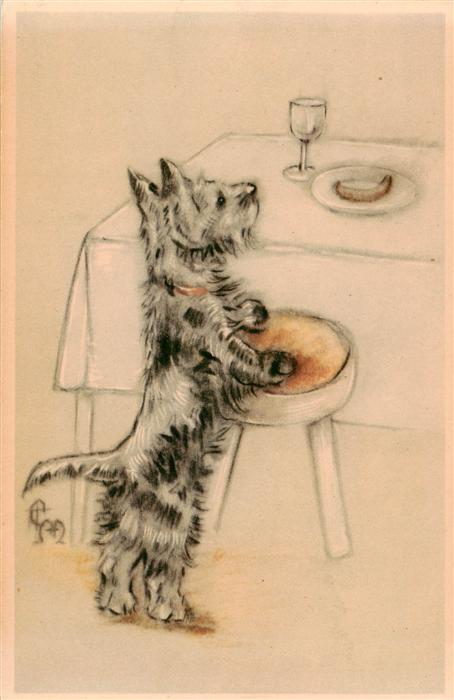 Hunde dogs chiens-- CM Wurst