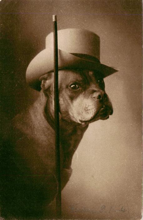 Foto NPG Nr. 225 Hund Hut
