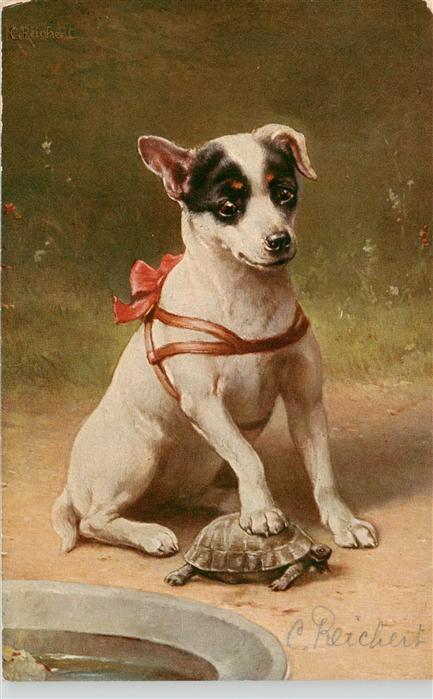 Hunde dogs chiens C. Reichert T.S.N. Nr. 1007 Schildkroete