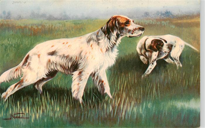 Hunde dogs chiens Cani da Caccia Setter inglese melato e Point su beccaccini