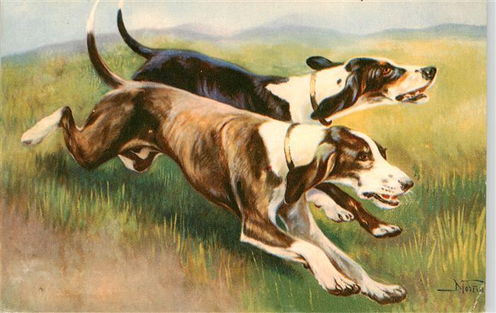 Hunde dogs chiens Cani e Caccia Seguci