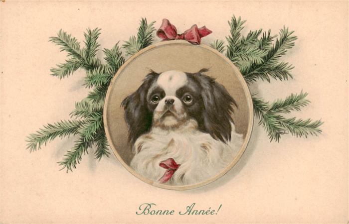 Verlag Vienne M.M. Nr. 749 M. Munk Hund Bonne Annee