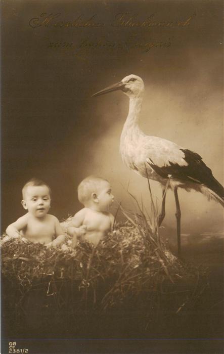 Storch Stork Cigogne Ciguena G.G.Co Nr 2381/2 Babys