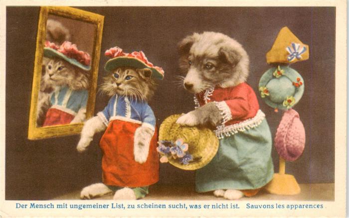 Vermenschlicht Hund Katze Hut
