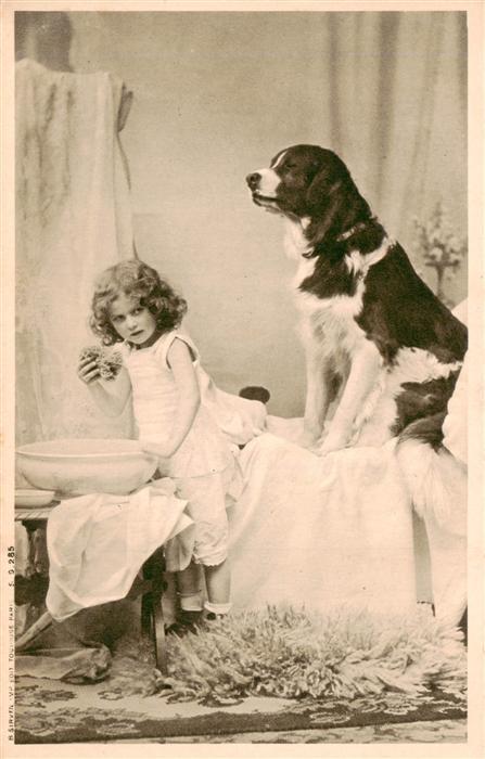 Hunde dogs chiens-- Kind