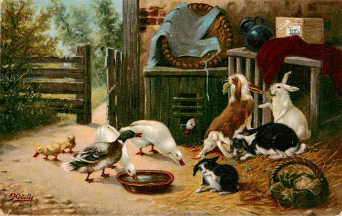 TIERE Animals Animaux Animales Animali-- Stahl Ente Hase