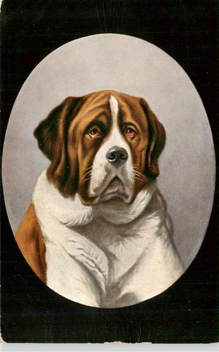 Hunde dogs chiens-- Beethoven