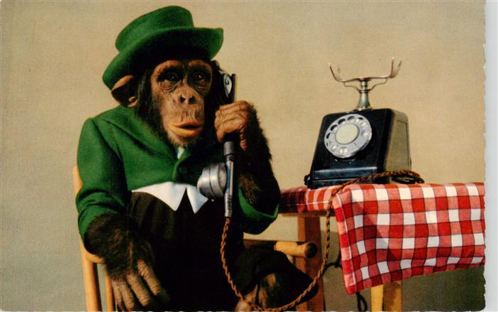 Affen Monkeys Singes Monos Scimmie-- Telefon Hut