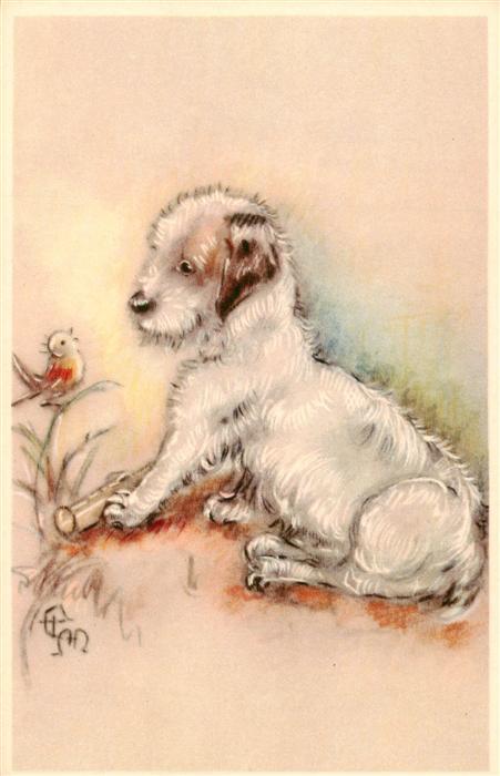 Hunde dogs chiens-- Weis Vogel