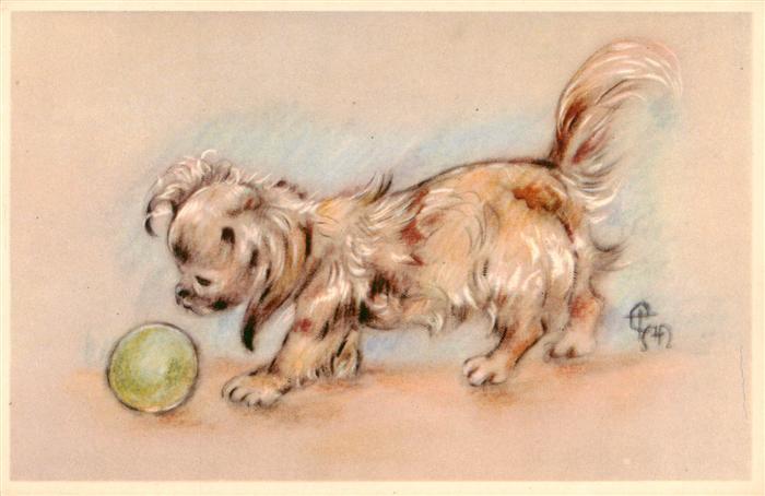 Hunde dogs chiens-- Ball