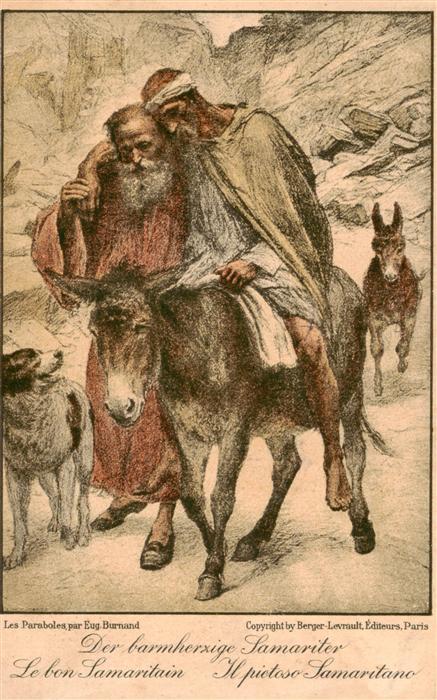 Esel Tiere Der barmherzige Lamariter