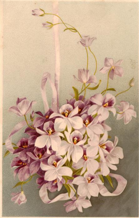 Verlag Meissner und Buch Litho Chacolat Lindt Blumen