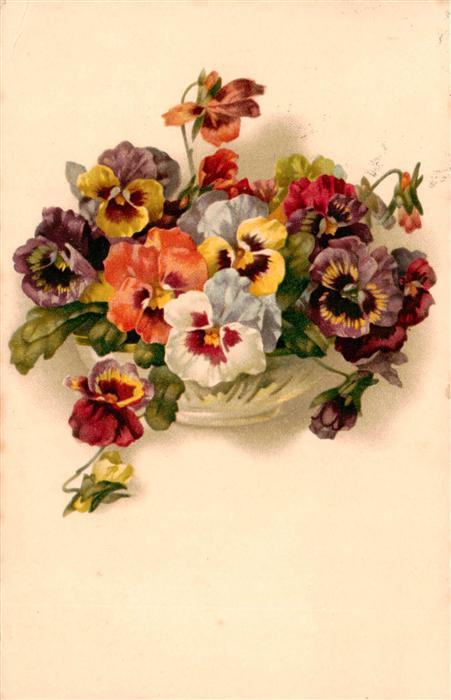 Verlag Meissner und Buch Litho Blumen