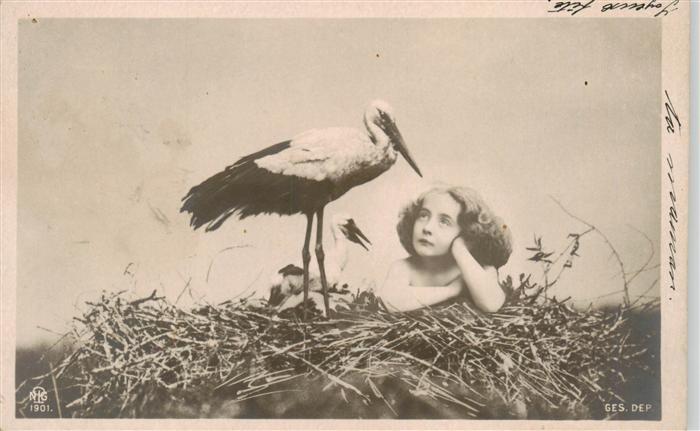Foto NPG Nr. 1901 Kind Storch