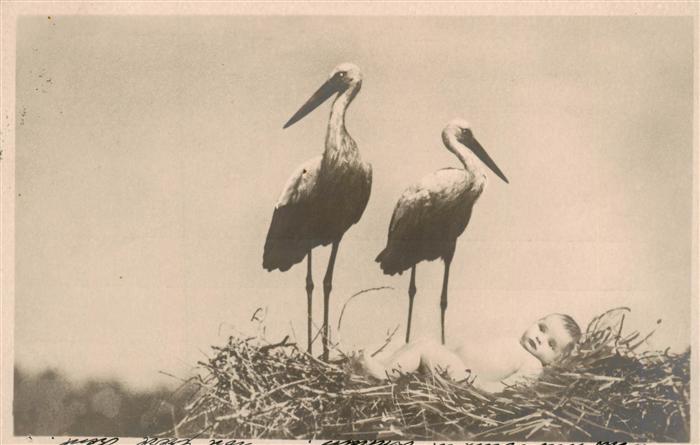 Foto NPG Nr. Storch Baby