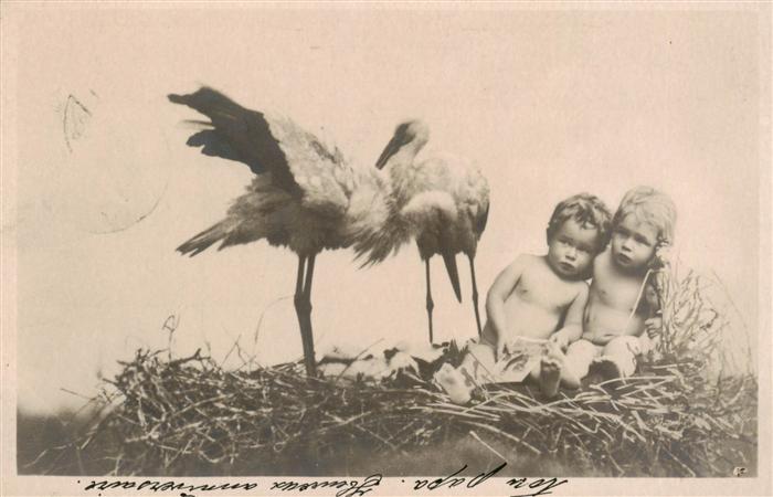Foto NPG Nr. Storch Baby
