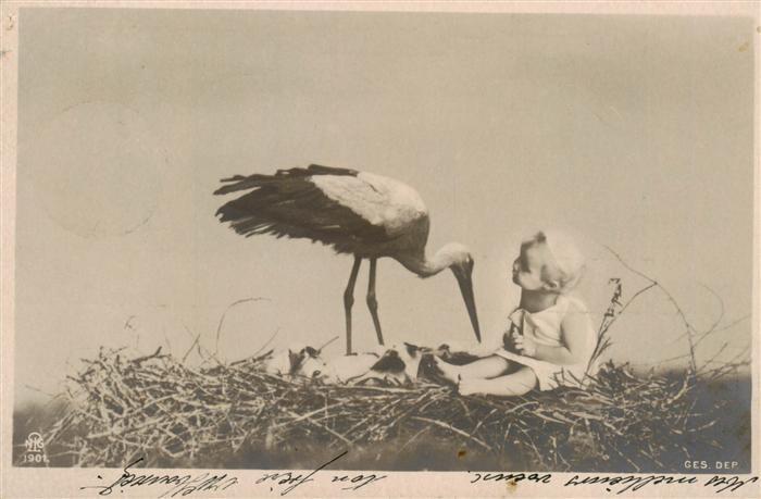 Foto NPG Nr. 1901 Baby Storch
