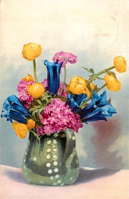 Foto Photochemie Nr. 851 Blumen Vase