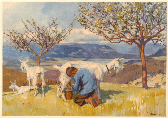 Liner Carl Kuenstlerkarte Schweiz Blick ins Rheintal