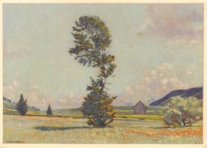 Liner Carl Kuenstlerkarte Schweiz Eggerstainder Moos