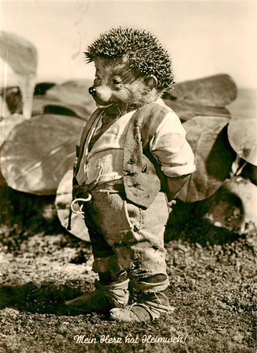 Mecki Nr. 4 Hoer Zu Gebrueder Diehl Heimweh Igel