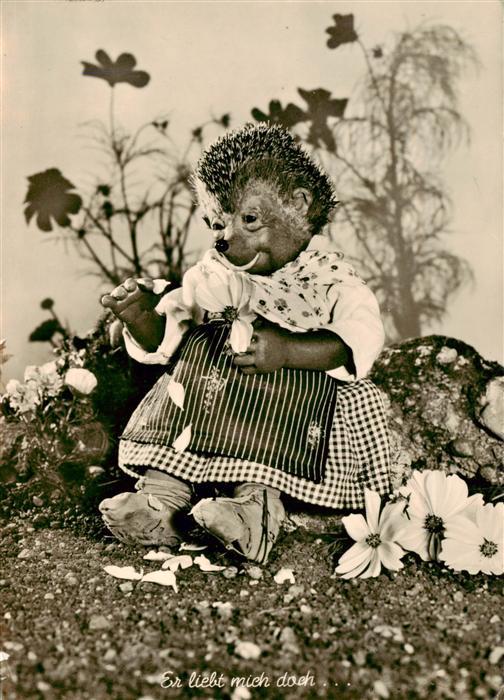 Mecki Nr. 9 Hoer Zu Diehl Film liebt Mich Igel