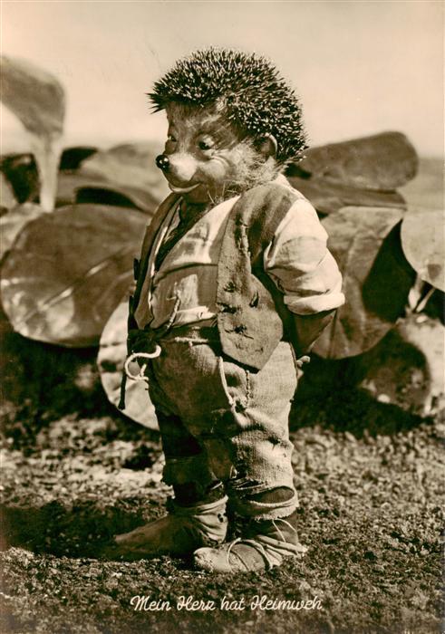 Mecki Nr. 4 Hoer Zu Gebrueder Diehl Heimweh Igel