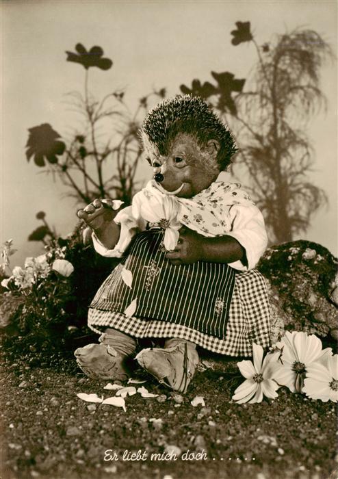 Mecki Nr. 9 Gebrueder Diehl Hoer Zu  Igel Er liebt mich doch