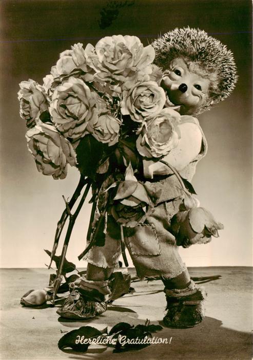 Mecki Nr. 15 Gebrueder Diehl Hoer Zu Igel Rosen Gratulation