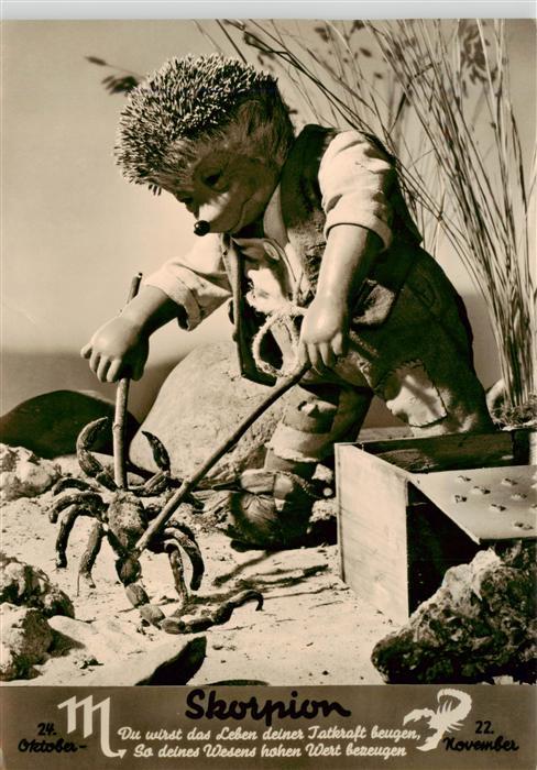 Mecki Nr. 511 Diehl Film Hoer Zu Sternzeichen Skorpion