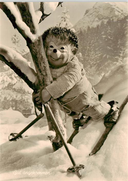 Mecki Nr. 49 Diehl Film Hoer Zu Gut angekommen Igel Ski