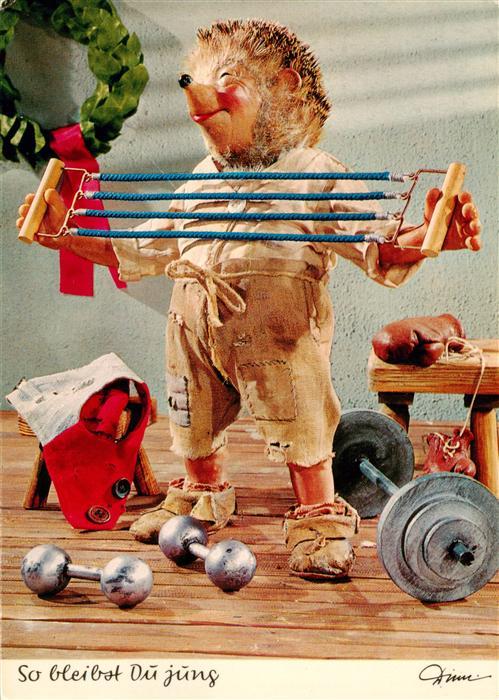 Mecki Nr. Diehl Film Igel Sport