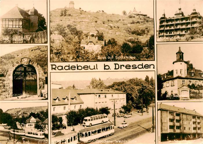 Radebeul Schloss Hoflössnitz Weinberg Zum Weisse